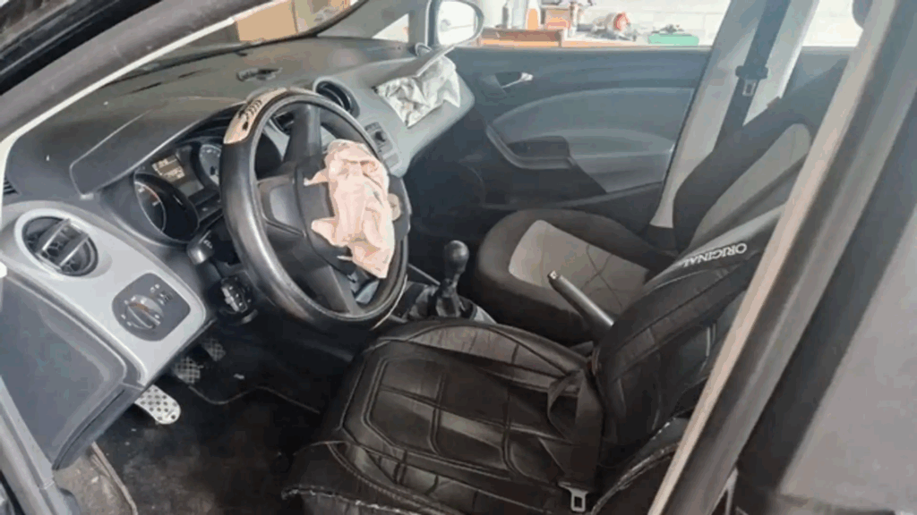 SEAT Ibiza Reference Gasolina Hatchback 150 CV