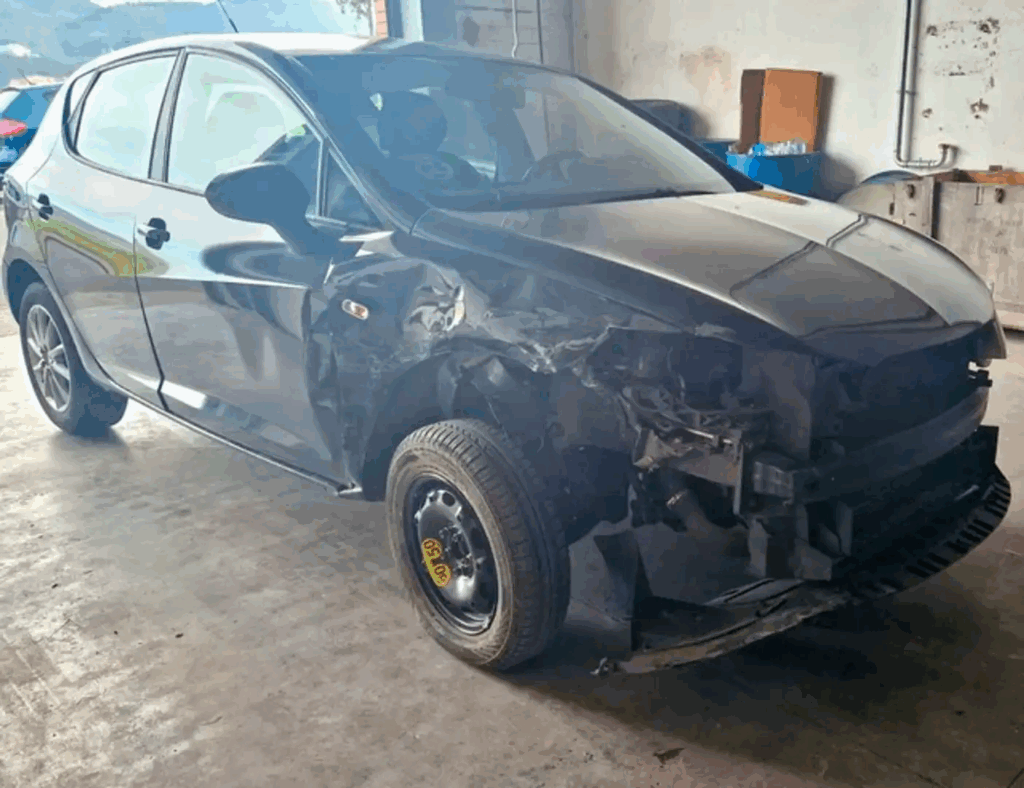 SEAT Ibiza Reference Gasolina Hatchback 150 CV