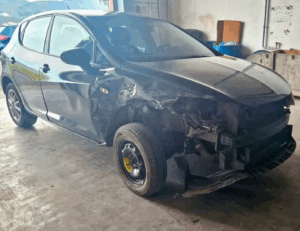 SEAT Ibiza Reference Gasolina Hatchback 150 CV