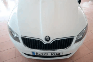 Skoda Octavia Base Gasolina Hatchback 230 CV