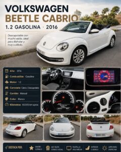 Volkswagen Beetle Cabriolet Gasolina Cabrio 105 CV